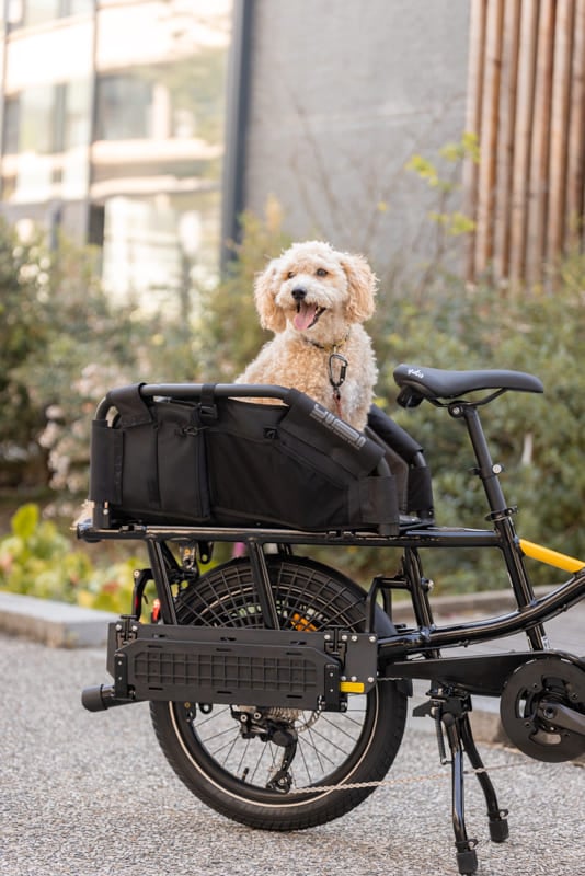 Chien dans le panier WoofTop du vélo cargo compact électrique Yuba FastRack Espresso